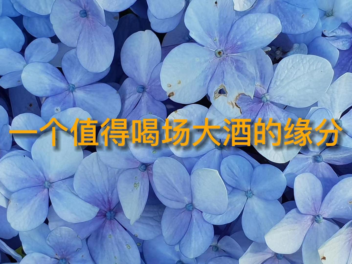 一個值得喝場大酒的緣分